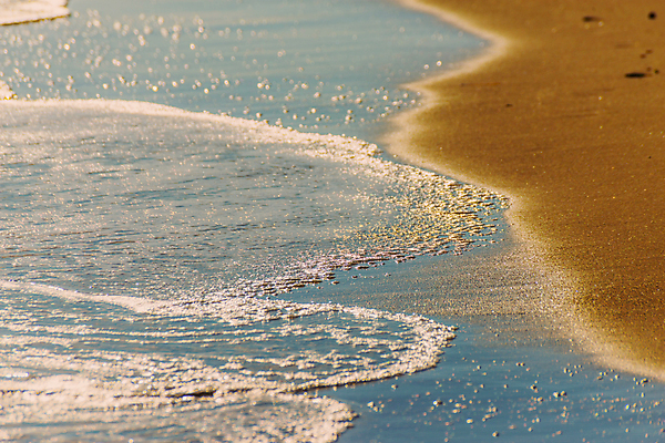 포토 JPG 해외이미지 모래 파도 바다 여행 백그라운드 자연 조류 표면 날씨 휴가 휴식 해변 사람없음 물 빛 햇빛 반사 거품 에너지 흰색 만 뜨거움 서핑 황금 닫기 떨어짐 매끈함 질감 웨이브 남쪽 석호 내추럴 파라다이스 해외포토 자연요소 동물 컬러 컨셉 모션 태양 수상스포츠 감각 방향 생태계 파일형식 이미지허브