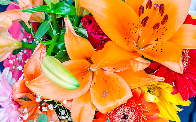 포토 JPG 해외이미지 식물 꽃 분홍색 꽃다발 백그라운드 꽃무늬 밭 오렌지 자연 선물 사람없음 초록색 여름 컬러풀 노란색 정원 보라색 봄 흰색 개화 그룹 닫기 혼합 다발 배열 데이지 고립 섞기 캐모마일 많음 해외포토 계절 컬러 컨셉 무늬 농업 과일 모션 허브 생태계 파일형식 이미지허브