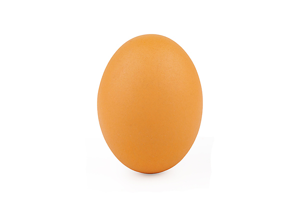 포토 JPG 해외이미지 동물 1 길 음식 백그라운드 곡선 다이어트 재료 자연 부활절 건강 요리 서기 사람없음 세로 농장 갈색 노란색 우주 계란 치킨 껍질 흰색 신선 아침식사 상품 자르기 먹기 가득함 오브젝트 싱글 유기농 날것 노른자 고립 단백질 삶기 생식 암탉 취급주의 해외포토 웰빙 기념일 선 컬러 농업 모션 경고 알 식사 닭 암컷 생태계 닭고기요리 영양소 파일형식 이미지허브