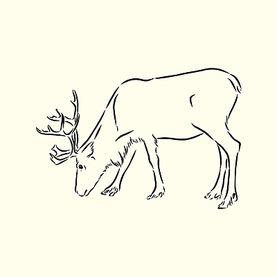 포토 JPG 해외이미지 동물 캐릭터 전통 행복 야생동물 백그라운드 크리스마스 겨울 패턴 일러스트 포유류 자연 추상 휴가 사슴 새로움 잉크 뿔 동물원 미술 사람없음 그래픽 산타클로스 펜 검은색 수확 흰색 인쇄 스케치 연도 북극 그림 질감 생물학 사냥 북쪽 판화 고립 엘리먼트 현실 해외일러스트 계절 교육 기념일 감정 컬러 컨셉 무늬 농업 문화예술 필기구 극지방 방향 생태계 파일형식 이미지허브