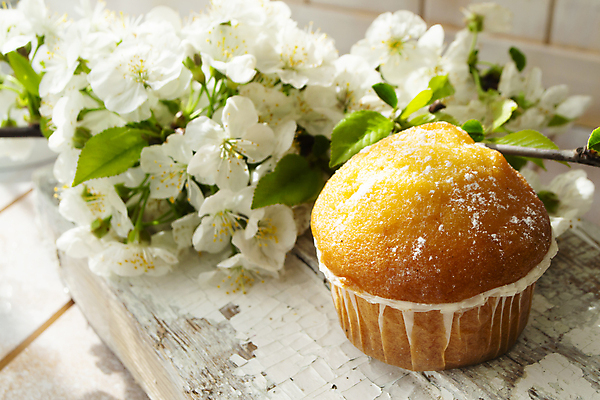 포토 JPG 해외이미지 열매 꽃 어린이 음식 빵 백그라운드 다이어트 과일 디저트 부활절 바나나 건강 요리 사람없음 컵 노란색 케이크 식사 봄 빵집 흰색 시골 신선 체리 황금 달콤 맛 아침식사 설탕 컵케이크 굽기 먹기 머핀 점심식사 미니 쉬운 채식주의자 페스츄리 핸드메이드 해외포토 식물 식기 계절 기념일 컬러 컨셉 모션 사람 상점 구이 채식 파일형식 이미지허브