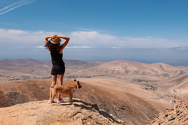 포토 JPG 해외이미지 동물 여자 포유류 자연 하늘 휴식 산 한명 사람 풍경 성인 야외 여름 반려동물 달리기 걷기 자유 개 산맥 해외포토 1 계절 컨셉 모션 생태계 파일형식 이미지허브