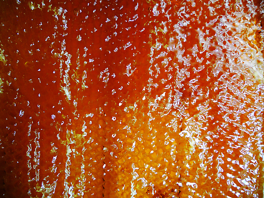 포토 JPG 해외이미지 동물 음식 곤충 백그라운드 패턴 오렌지 자연 세포 건강 사람없음 야외 약 농장 노란색 시골 신선 머리빗 황금 달콤 맛 꿀벌 배열 묘사 질감 꽃가루 육각형 꿀 벌집 내추럴 고립 밀랍 양봉 양봉장 왁스 폴리곤 해외포토 도형 컬러 컨셉 무늬 농업 과일 의학 미용용품 벌_곤충 가루 생태계 파일형식 이미지허브