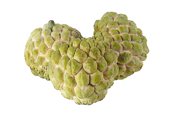 포토 JPG 해외이미지 아시아 음식 백그라운드 농업 다이어트 과일 태국 디저트 건강 동양인 사람없음 초록색 주스 흰색 나뭇가지 신선 달콤 사과 설탕 유기농 고립 숙성 이국적 커스터드 해외포토 나무 웰빙 나라 산업 음료 컬러 인종 맛 크림 파일형식 이미지허브