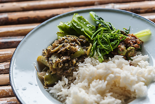 포토 JPG 해외이미지 전통 접시 아시아 문화 채소 재료 태국 자연 고추 밥 거리 건강 육류 요리 동양인 사람없음 목재 초록색 주방 식사 저녁식사 흰색 뜨거움 사발 시장 정상 먹기 허브 향신료 유기농 매움 지역 후추 카레 내추럴 채식주의자 스타일 해외포토 나무 식물 식기 웰빙 나라 음식 컬러 식재료 모션 인종 사기그릇 맛 생태계 채식 향미료 파일형식 이미지허브