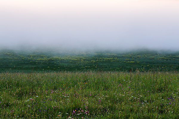 포토 JPG 해외이미지 구름 유럽 여행 백그라운드 밭 자연 하늘 아침 날씨 추상 풍경 사람없음 야외 초록색 여름 침묵 회색 안개 시골 가장자리 땅 언덕 흐림 내추럴 땅바닥 뿌연 스칸디나비아 카피스페이스 미니멀리스트 미니멀 해외포토 주간 자연요소 계절 나라 컬러 무늬 농업 바닥 소리 공백 둘레 생태계 파일형식 이미지허브