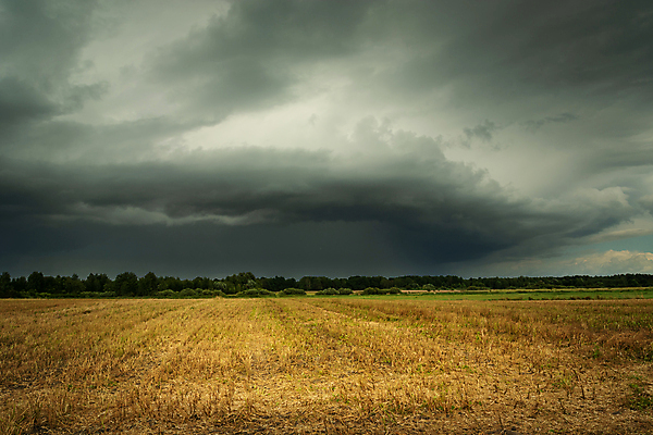 포토 JPG 해외이미지 구름 밭 농업 자연 하늘 바람 날씨 풍경 사람없음 야외 가로 여름 농장 환경 어둠 시골 위험 큼 장면 폭풍 흐림 뇌우 폭풍우 해외포토 자연요소 계절 산업 컨셉 비_날씨 크기 자연재해 생태계 파일형식 이미지허브