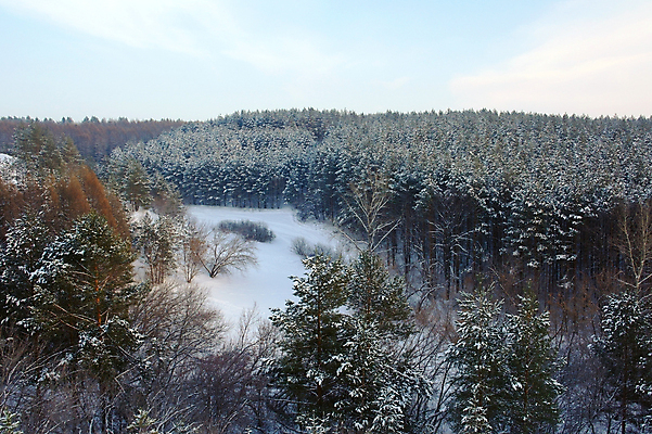 포토 JPG 해외이미지 나무 공원 유럽 길 선 크리스마스 겨울 자연 벽지 하늘 풍경 사람없음 야외 목재 침묵 추위 흰색 소나무 숲 과수원 서리 장면 폭설 해외포토 식물 계절 공공시설 기념일 나라 컬러 농업 재료 눈_날씨 소리 자연재해 생태계 파일형식 이미지허브