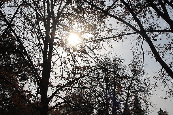 포토 JPG 해외이미지 나무 식물 공원 행복 얼굴 시계 백그라운드 밭 인터넷 가족 자연 하늘 거리 서기 사람 앉기 사람없음 야외 사무실 탑 방 흰색 나뭇가지 그룹 숲 큼 언덕 사인 돌봄 해외포토 건축물 공공시설 감정 컬러 농업 비즈니스 관계 모션 신체부위 크기 생태계 파일형식 이미지허브