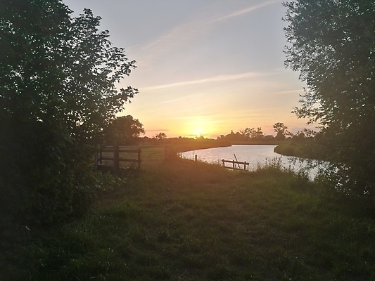 포토 JPG 해외이미지 나무 오렌지 자연 하늘 풍경 사람없음 야외 초록색 물 파란색 강 태양 노란색 일몰 저녁 북쪽 해외포토 자연요소 식물 컬러 과일 노을 야간 방향 생태계 파일형식 이미지허브