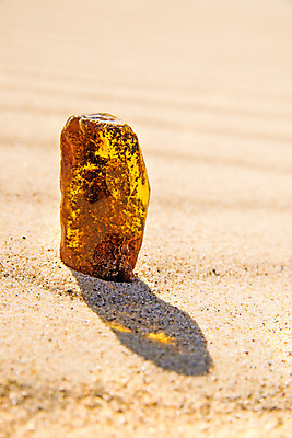 포토 JPG 해외이미지 자연 사람없음 빛 주황색 투명 보석 화석 앰버 해외포토 컬러 광석 생태계 파일형식 이미지허브