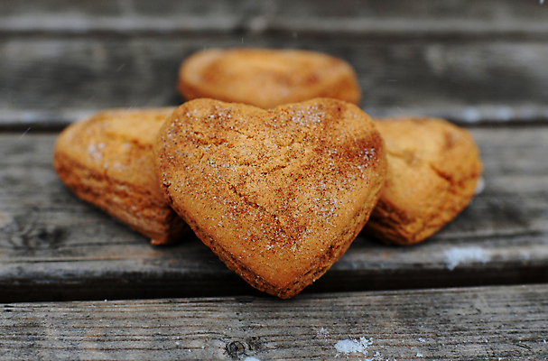 포토 JPG 해외이미지 모양 음식 백그라운드 크리스마스 겨울 휴가 디저트 발렌타인데이 사랑 사람없음 목재 파란색 갈색 쿠키 흰색 하트 달콤 심볼 고립 소셜네트워크 시나몬 스타일 해외포토 나무 계절 기념일 감정 컬러 재료 데이이벤트 맛 파일형식 이미지허브