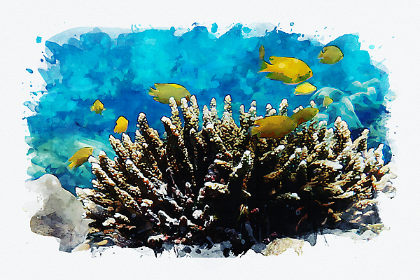 포토 JPG 해외이미지 동물 바다 일러스트 자연 수채화 사람없음 그림 섞기 해외일러스트 생태계 파일형식 이미지허브