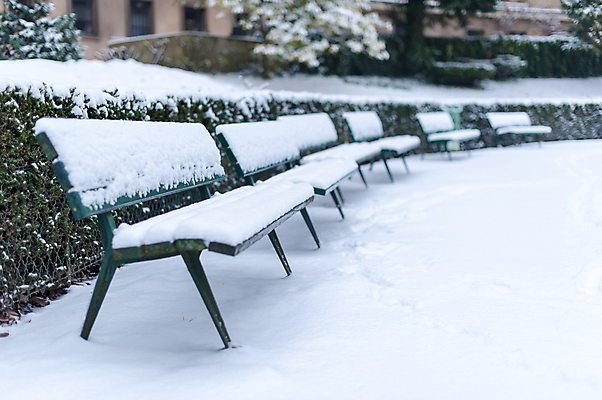 포토 JPG 해외이미지 계절 공원 여행 백그라운드 크리스마스 겨울 벤치 자연 날씨 풍경 사람없음 목재 여행객 평화 냉동 얼음 침묵 추위 흰색 고독 숲 서리 장면 1월 내추럴 줄서기 눈내림 파리(프랑스) 해외포토 자연요소 나무 공공시설 기념일 감정 컬러 컨셉 의자 재료 모션 눈_날씨 사람 소리 날짜 생태계 파일형식 이미지허브