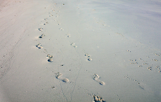 포토 JPG 해외이미지 도로 길 모래 여행 휴가 건조 그림자 사람없음 여행객 걷기 산책 흰색 발자국 질감 해외포토 컬러 교통시설 자국 모션 휴식 사람 파일형식 이미지허브