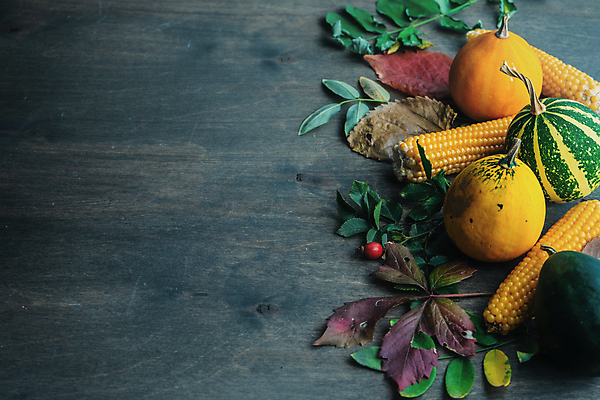 포토 JPG 해외이미지 음식 백그라운드 컨셉 단풍 잎 채소 재료 탁자 호박 휴가 프레임 건강 옥수수 요리 씨앗 사람없음 세트 노란색 축제 저녁식사 할로윈 회색 수확 가을 바위 허브 유기농 냅킨 날것 추수감사절 미니 숙성 콘크리트 카피스페이스 해외포토 식물 웰빙 계절 기독교 컬러 가구 농업 곡류 식사 공백 돌_바위 파일형식 이미지허브