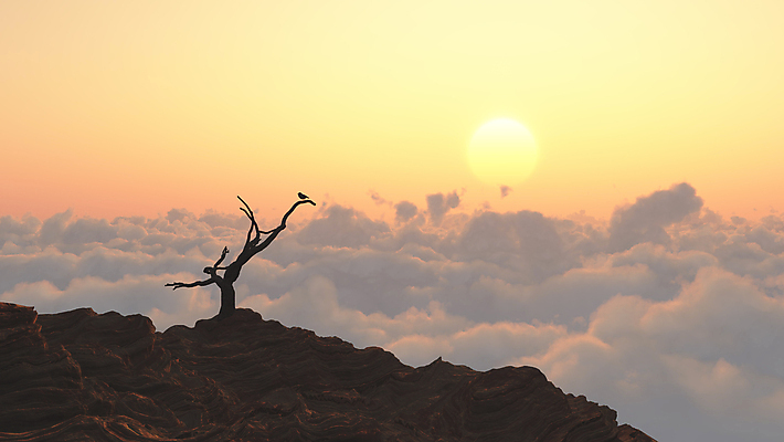 포토 JPG 해외이미지 모양 나무 구름 디자인 야생동물 컨셉 자연 조류 추상 건조 풍경 사람없음 목재 3D 평화 환경 침묵 새벽 자유 바위 나뭇가지 죽음 고독 신비 싱글 오르기 천국 스카이라인 내추럴 옛날 우화 절정 혼자 수평선 해외포토 자연요소 식물 동물 감정 무늬 재료 모션 소리 돌_바위 디지털합성 생태계 파일형식 이미지허브