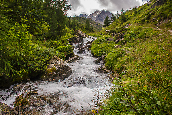 포토 JPG 해외이미지 나무 유럽 길 스포츠 여행 자국 하늘 날씨 조명 산 풍경 사람없음 야외 빛 침묵 트래킹 폭포 흐름 안개 가을 용기 화려 개울 황무지 오스트리아 붓기 정상 위험 큼 오솔길 오르기 알프스 장면 암초 통과 남쪽 강렬 웅장함 절정 환상 해외포토 식물 그릇 계절 나라 컨셉 모션 자연 레저 강 소리 크기 방향 파일형식 이미지허브