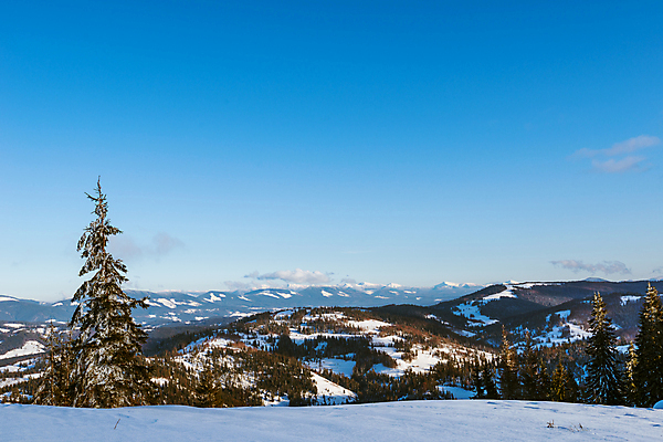 포토 JPG 해외이미지 나무 구름 유럽 여행 겨울 자연 하늘 휴가 스키 산 파노라마 풍경 사람없음 야외 파란색 태양 맑음 냉동 얼음 트래킹 하이킹 추위 성장 흰색 소나무 숲 언덕 서리 북쪽 슬로프 산악지대 웅장함 절정 폭설 눈내림 가문비나무 해외포토 자연요소 식물 계절 나라 컬러 레저 날씨 겨울스포츠 스키장 눈_날씨 촬영기법 자연재해 방향 생태계 파일형식 이미지허브