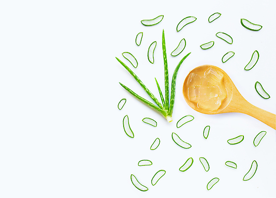 포토 JPG 해외이미지 스튜디오촬영 단면 실내 사람없음 하이앵글 흰배경 알로에 플랫레이 해외포토 식물 뷰포인트 백그라운드 내부 흰색 플랫 파일형식 이미지허브