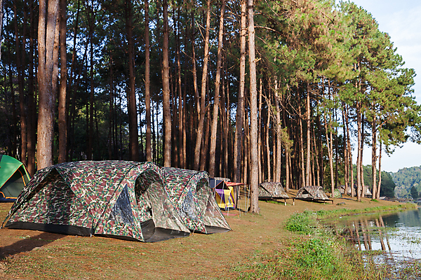 포토 JPG 해외이미지 나무 라이프스타일 공원 호수 백그라운드 하늘 텐트 풍경 사람없음 야외 강 해외포토 식물 공공시설 캠핑도구 생활 파일형식 이미지허브