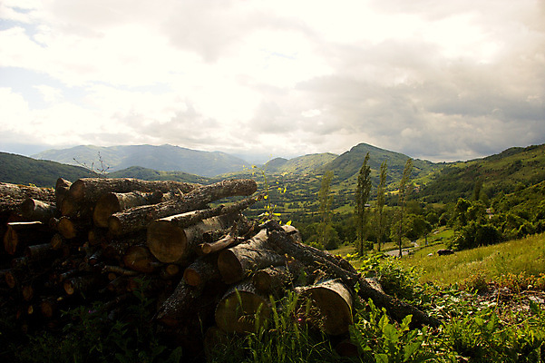포토 JPG 해외이미지 유럽 여행 밭 자연 휴가 풍경 사람없음 야외 초록색 쌓기 프랑스 시골 통나무 지역 남쪽 프랑스어 전경 해외포토 나무 문자 나라 컬러 농업 모션 방향 생태계 파일형식 탑뷰 이미지허브