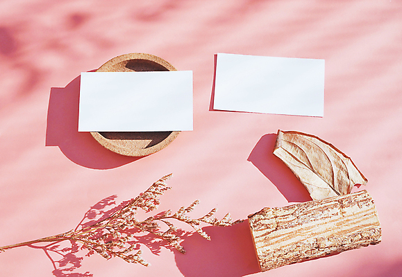 포토 JPG 해외이미지 꽃 종이 비즈니스 자연 명함 추상 프레임 사람없음 환경 친환경 유기농 목업 해외포토 식물 웰빙 무늬 생태계 파일형식 이미지허브