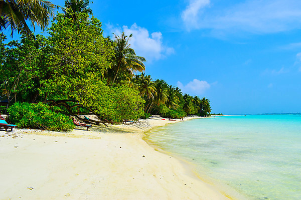 포토 JPG 해외이미지 나무 식물 모래 바다 섬 여행 백그라운드 자연 하늘 휴가 휴식 손바닥 그림자 풍경 사람없음 물 여름 파란색 햇빛 태양 맑음 침묵 시골 휴양지 코코넛 천국 석호 몰디브 이국적 터키석 파라다이스 해외포토 자연요소 손 계절 아시아 컬러 컨셉 과일 날씨 소리 장소 보석 생태계 파일형식 이미지허브