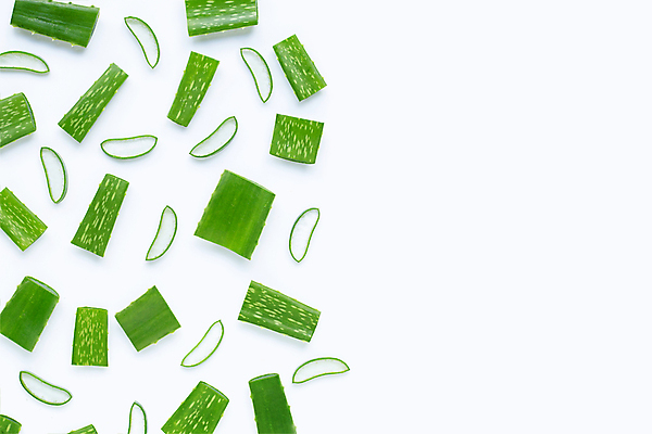 포토 JPG 해외이미지 스튜디오촬영 단면 실내 사람없음 하이앵글 흰배경 알로에 해외포토 식물 뷰포인트 백그라운드 내부 흰색 파일형식 이미지허브