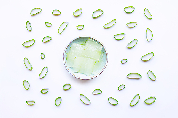 포토 JPG 해외이미지 스튜디오촬영 단면 실내 사람없음 하이앵글 사기그릇 흰배경 알로에 해외포토 식물 그릇 뷰포인트 백그라운드 내부 흰색 파일형식 이미지허브