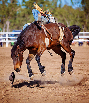포토 JPG 해외이미지 주간 전신 남자 한명 앉기 성인 야외 점프 말_동물 승마 카우보이 카우보이모자 카우보이복장 성인남자한명만 해외포토 자연요소 모자_잡화 1 옷 스포츠 포유류 모션 사람 남자한명만 성인남자만 파일형식 이미지허브