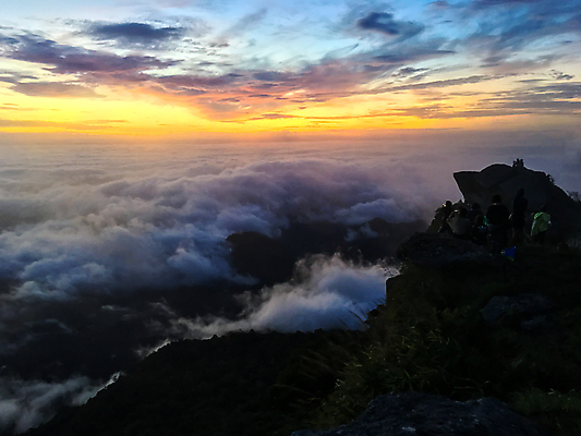 포토 JPG 해외이미지 나무 구름 계절 여행 백그라운드 컨셉 지도 일러스트 비즈니스 텍스트 태국 자연 하늘 추상 산 함께함 풍경 사람없음 야외 초록색 여름 파란색 단어 빛 환경 자유 흰색 가리킴 숲 사인 긍정 내추럴 해외포토 자연요소 식물 문자 아시아 컬러 무늬 손짓 생태계 파일형식 이미지허브