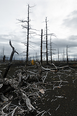포토 JPG 해외이미지 나무 모래 여행 자연 날씨 풍경 사람없음 야외 환경 탐험 바위 숲 폭발 생태계 러시아 지역 분화구 용암 안심 원뿔 내추럴 생태학 재 재앙 절정 해외포토 도형 식물 교육 유럽 육류 돌_바위 화산 파일형식 이미지허브