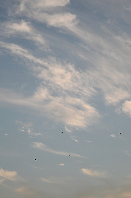 포토 JPG 해외이미지 구름 백그라운드 자연 하늘 날씨 추상 풍경 사람없음 여름 파란색 빛 컬러풀 햇빛 일출 침묵 황혼 일몰 야간 저녁 장면 바닐라 해외포토 자연요소 계절 컬러 무늬 태양 노을 소리 생태계 파일형식 이미지허브