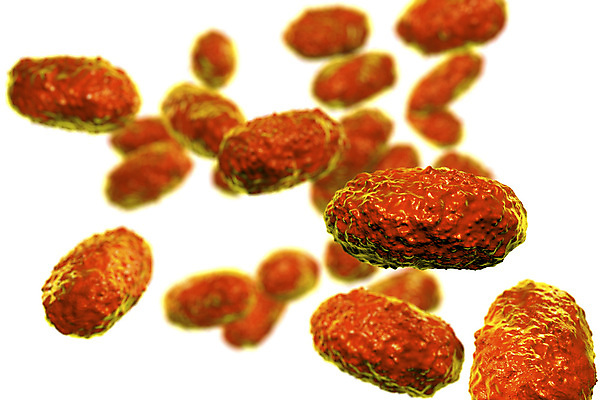 포토 JPG 해외이미지 일러스트 건강 사람없음 3D 고통 흰색 질병 감염 전염 미생물 박테리아 고립 기침 해외포토 감정 컬러 의학 생물 디지털합성 파일형식 이미지허브