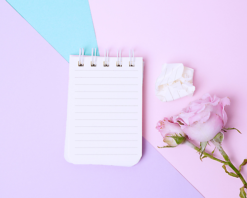 포토 JPG 해외이미지 꽃 사람없음 장미 보라색 오브젝트 스프링노트 종이뭉치 해외포토 식물 종이 컬러 공책 뭉치 파일형식 이미지허브