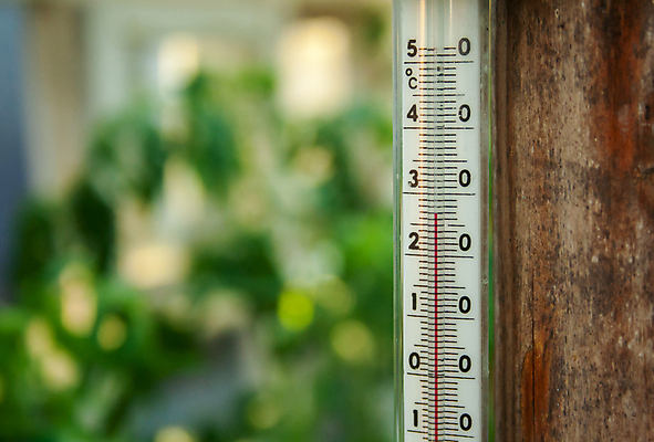 포토 JPG 해외이미지 식물 계절 음식 백그라운드 잎 농업 토마토 채소 과일 자연 하늘 날씨 건조 따뜻함 사람없음 야외 초록색 여름 빛 햇빛 태양 마을 환경 정원 맑음 습기 뜨거움 농부 온도계 측정 온도 거름 섭씨 온실 해외포토 자연요소 직업 산업 컬러 생태계 파일형식 이미지허브