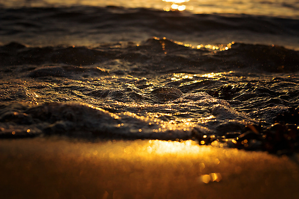 포토 JPG 해외이미지 모래 파도 바다 여행 백그라운드 오렌지 자연 벽지 하늘 아침 추상 휴가 풍경 해변 사람없음 야외 빨간색 물 여름 파란색 빛 햇빛 태양 반사 노란색 일출 맑음 황혼 일몰 새벽 흰색 황금 정상 저녁 질감 해외포토 주간 자연요소 계절 컬러 무늬 과일 날씨 노을 야간 생태계 파일형식 이미지허브