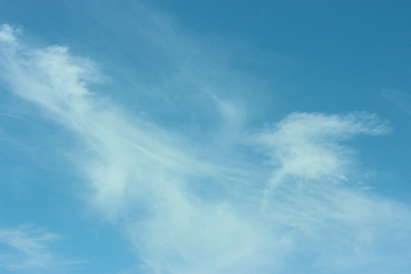 포토 JPG 해외이미지 구름 하늘색 자연 벽지 하늘 바람 날씨 추상 사람없음 야외 공중 파란색 빛 우주 환경 침묵 활발 자유 흰색 물방울 오픈 분위기 매끈함 질감 장면 부드러움 천국 솜털 스카이라인 흐림 내추럴 오존 부족함 해외포토 자연요소 컬러 컨셉 무늬 소리 감각 생태계 파일형식 이미지허브