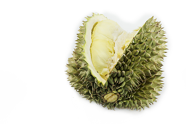 포토 JPG 해외이미지 나무 식물 계절 아시아 음식 백그라운드 농업 과일 재료 태국 자연 디저트 건강 동양인 사람없음 초록색 노란색 껍질 흰색 신선 못 가시 달콤 맛 왕 유기농 질감 날것 날카로움 가죽끈 고립 숙성 해외포토 웰빙 나라 산업 컬러 컨셉 인종 공구 끈 가죽 생태계 파일형식 이미지허브