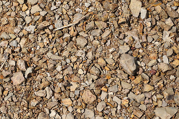 포토 JPG 해외이미지 디자인 도로 길 지구 모래 백그라운드 패턴 자연 벽지 표면 추상 바닥 건조 사람없음 야외 갈색 환경 정원 흙 덮개 조약돌 바위 흰색 거친 작음 땅 묘사 질감 먼지 점토 내추럴 찌그러짐 그런지 땅바닥 옛날 화강암 해외포토 컬러 컨셉 무늬 교통시설 뚜껑 암석 돌_바위 크기 생태계 파일형식 이미지허브