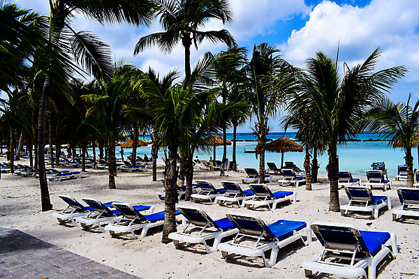 포토 JPG 해외이미지 나무 모래 바다 섬 여행 자연 하늘 휴가 손바닥 풍경 사람없음 야외 물 여름 파란색 야자수 맑음 흰색 휴양지 코코넛 카리브해 이국적 파라다이스 수평선 해외포토 자연요소 식물 손 계절 컬러 과일 날씨 장소 생태계 파일형식 이미지허브