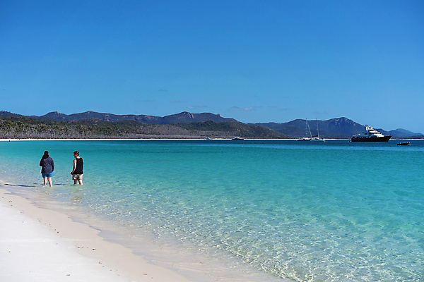 포토 JPG 해외이미지 모래 바다 섬 여행 백그라운드 자연 휴가 휴식 사람 풍경 사람없음 물 여름 파란색 태양 흰색 보트 호주 큼 태평양 암초 천국 멀리 내추럴 실리콘 주입구 파라다이스 수평선 해외포토 자연요소 계절 컬러 컨셉 배_교통 오세아니아 크기 생태계 파일형식 이미지허브