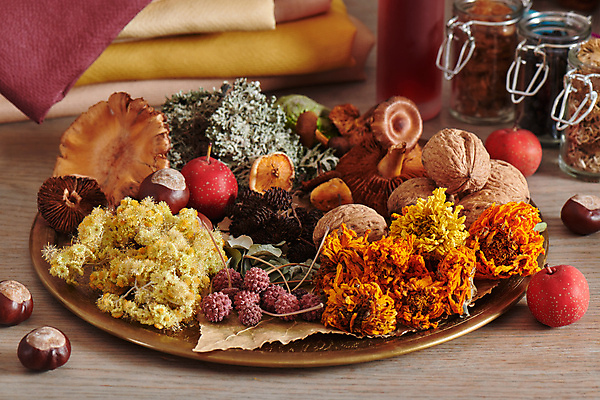 포토 JPG 해외이미지 식물 접시 디자인 열매 꽃 음식 잎 건조 사람없음 장식 유행 쌓기 환경 정원 버섯 견과류 가을 면 항아리 숲 바느질 실크 허브 유기농 염색 생태학 퀼트 해외포토 식기 웰빙 계절 교육 모션 직물 도자기 파일형식 이미지허브