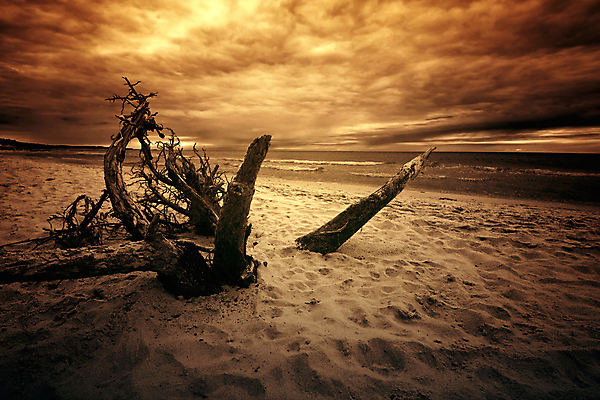 포토 JPG 해외이미지 나무 구름 모래 파도 바다 여행 백그라운드 오렌지 자연 하늘 바람 날씨 추상 휴가 풍경 사람없음 목재 빨간색 물 여름 햇빛 태양 일출 어둠 일몰 젖음 수확 죽음 야간 신비 지중해 폭풍 북쪽 폴란드 세피아 폭풍우 수평선 해외포토 자연요소 식물 계절 유럽 컬러 컨셉 무늬 농업 과일 재료 촬영기법 노을 비_날씨 자연재해 방향 생태계 파일형식 이미지허브