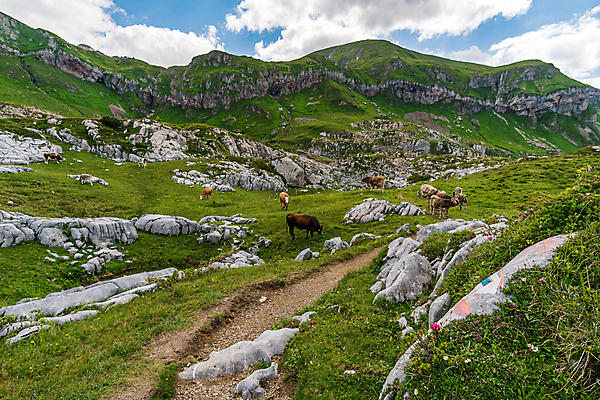 포토 JPG 해외이미지 구름 라이프스타일 응시 여행 자연 휴가 산 파노라마 사람없음 야외 여름 환경 맑음 등산 트래킹 하이킹 시골 저수지 오스트리아 고독 정상 알프스 천국 고립 절정 해외포토 자연요소 시선 계절 감정 유럽 레저 날씨 촬영기법 생활 생태계 파일형식 이미지허브