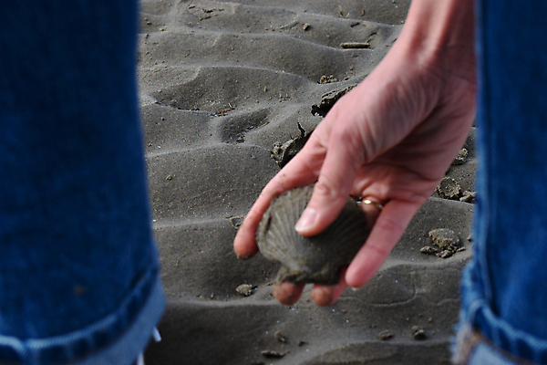 포토 JPG 해외이미지 백인 1 모래 바다 자연 휴가 조개 사람없음 야외 물 우주 고요 산책 자유 껍질 떨어짐 수집 아일랜드 탐사 더블린 발견 해외포토 자연요소 서양인 유럽 컨셉 어패류 휴식 생태계 파일형식 이미지허브