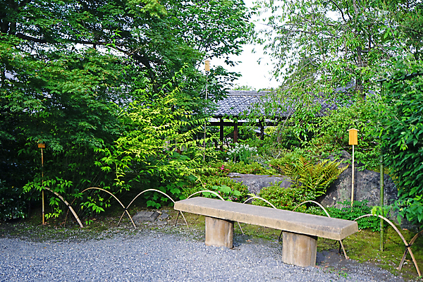 포토 JPG 해외이미지 나무 식물 계절 공원 꽃 도로 길 선 백그라운드 벤치 의자 자연 휴식 바닥 한국 잔디 사람없음 야외 목재 장식 초록색 정원 일본 중국 봄 성장 시골 소나무 도쿄 오솔길 땅 상록수 내추럴 스타일 해외포토 공공시설 아시아 컬러 가구 컨셉 재료 교통시설 생태계 파일형식 이미지허브