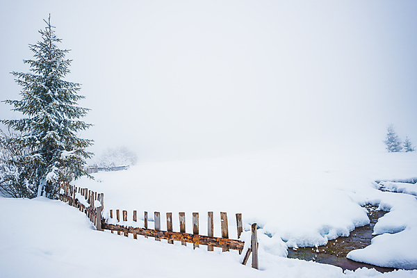 포토 JPG 해외이미지 나무 계절 유럽 여행 겨울 자연 날씨 휴가 산 풍경 사람없음 물 강 환경 계곡 냉동 얼음 하이킹 추위 안개 흰색 시골 개울 숲 그림 서리 북쪽 전나무 산악지대 교외 제설기 폭설 눈내림 해외포토 자연요소 식물 나라 컬러 레저 눈_날씨 자연재해 방향 생태계 제설 파일형식 이미지허브