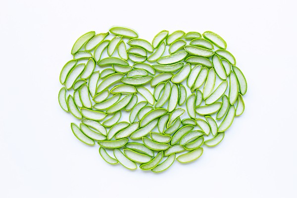 포토 JPG 해외이미지 스튜디오촬영 단면 실내 사람없음 하이앵글 하트 흰배경 알로에 엘리먼트 플랫레이 해외포토 모양 식물 뷰포인트 백그라운드 내부 흰색 플랫 파일형식 이미지허브